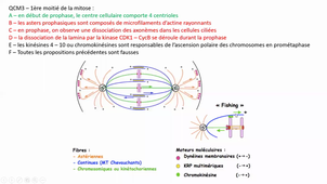 (13/10/2020) 16h PACES UE2 ED6 307 V. Gatinois
