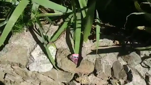 Par le petit bout de la fenêtre