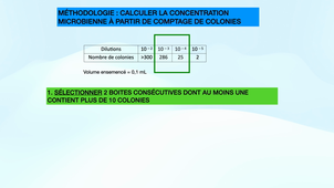 video calcul de N.m4v