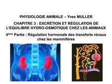 LICENCE DE BIOLOGIE Chapitre 3 – Excrétion et régulation de l’équilibre hydro-osmotique chez les animaux 4ème Partie : Régulation hormonale des transferts rénaux chez les Mammifères