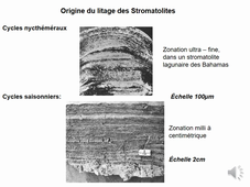 Séance 1 paléontologie_chapitre 1-4