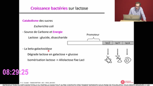 S1_UE2_ECUE2.1_1_Cornillot_25102023