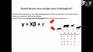 HMBE108. CM2. Analyses comparatives.