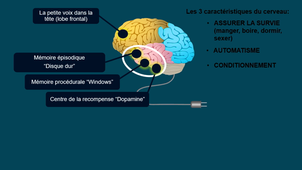 Item 73 : Addiction au tabac - Dr. Gambier