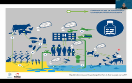 TU08 - Anti Microbial Resistance (AMR) and Policy Response - Tri Wibawa - 03-12-2025.mp4