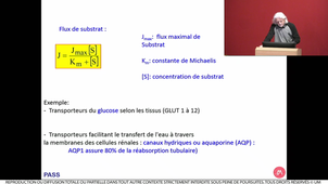 S2UE7_Kotzki_5_09032021