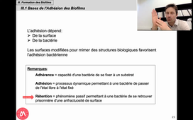 S2UE9 Collart-Dutilleul 24/03/21