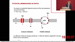 S1_ECUE_SANTE_COMMUNE_PHG_MULLER5_08-11-2023
