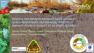 Marie-France DIGNAC - Devenir des microplastiques dans les sols