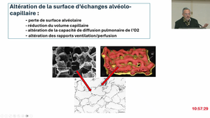 S2 UE4 - Pr.Hayot - Physiologie Humaine - 05/03/2025