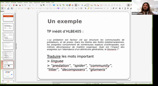 Recherches bibliographiques - HLBE405