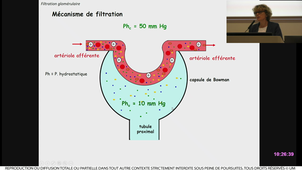 ECUE_PHG-MULLER_20231004.m4v