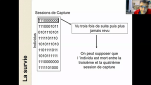 HMBE291 cours 2 dynamique de population - 01fev2021