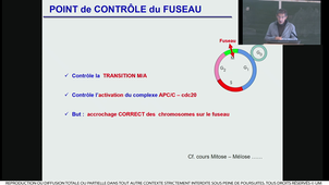 S1UE3_ECUE3.1_Carillo_1_06102022_PHARMA