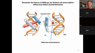 Cours HAV509V Transcription (25/10/2022)