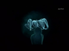 Drogues et cerveau - Opiacés et Tranquilisants