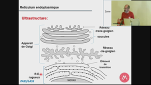 UE3 ECUE3.1 BIO CELL Pr DELBECQ - 17092024