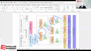 Visio 2025-02-12.mp4