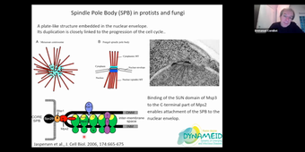 TU05 Nucleus - Emmanuel Cornillot - 01-12-25.mp4