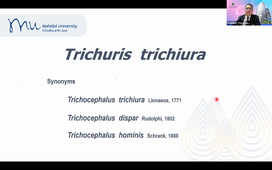 Nematodes - Teera Kusolsuk - 16-09-2026.mp4