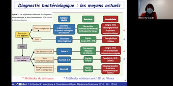 C.14 Gestion infection à Clostridium difficile