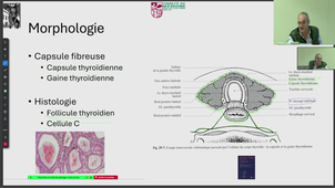 DFGSM2 - Pr.Captier - CM 8 - Tête et cou - Corps thyroïde - 11/03/2025