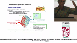 UE-PHG-Matecki_20250904-075929Z_S1R1_H.264.mp4