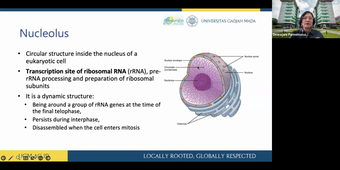 TU03 Differenciation - Saihas Suhda - 05-11-25.mp4