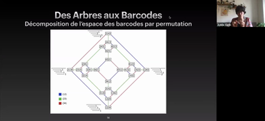 GdT-TDA / Adélie Garin / Aller-retour entre arbres et code-barres