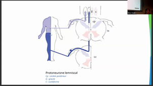 09-10-23-DFGSM2-CM9-Appareil neuro-C Walgenwitz.mp4