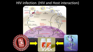 HIV diagnosis and treatment - Dr. Ekvatthana - 23-09-2026.mp4