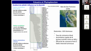 HLBE508 - CM2 - Phytoplancton en milieu estuarien et lagunaire - BBEC