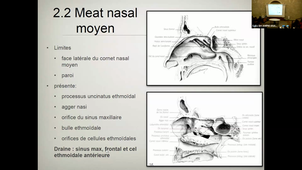 CM9 Radioanatomie de la tête et du cou