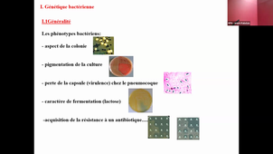 DFGSM2 - Bases en bactériologie : Génétique bactérienne - S Godreuil -19/10/2026