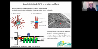TU05 Nucleus - Emmanuel Cornillot - 01-12-25.m4v