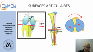Biomécanique du genou