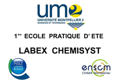 Première Ecole Pratique d' Eté  LABEX CHEMISYST - Conférence du matin du 13 Septembre 2012 ;