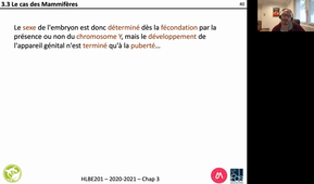 HLBE201-Chap 3-cours 9