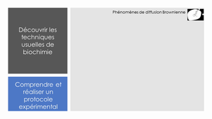 Présentation HLBI408