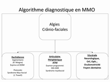 Rachis_Theorie_Cervical_Douleurs Cranofaciales_Bonneau_2020