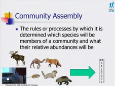 Séminaire Histoire et Philosophie des Sciences - Brian McGill