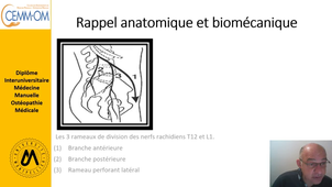 Syndrome de jonction thoraco-lombaire