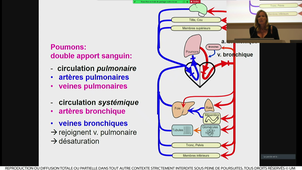 S1UE4_ECUE4_1_Schuster_1_20092021_las