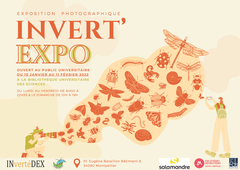 Immersion dans l'Invert'expo