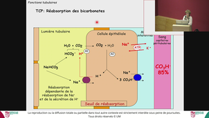 PASS - ECUE PHG - Muller - 29/09/2026