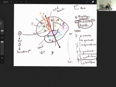 21-09-26-DFGSM2-Appareil neuro-M Bertrand-CM5.mp4