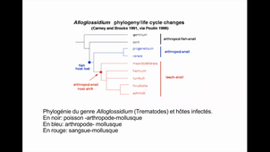 agreg : écologie et évolution des interactions III