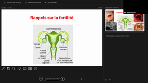 La fertilité humaine en baisse : info ou intox ? Pr Sophie Brouillet 29/09/2026