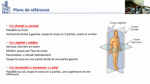 DFGSM2- Appareil locomoteur-CM1- Julie Mathieu--04092025
