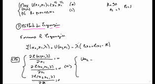 Equilibre du consommateur : Méthode du Lagrangien